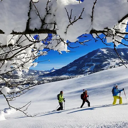 Seidner 아파트 Angerberg (Tyrol)